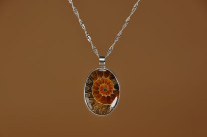 Ammonite Pendant Necklace