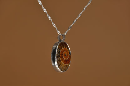 Ammonite Pendant Necklace