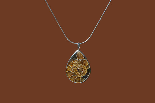 Ammonite Fossil Pendant Necklace