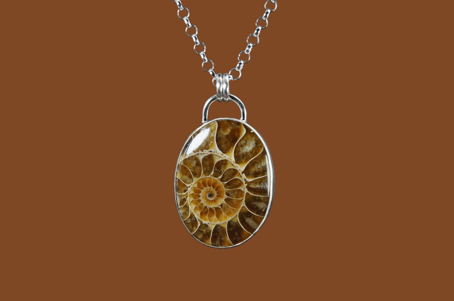 Ammonite Pendant Necklace