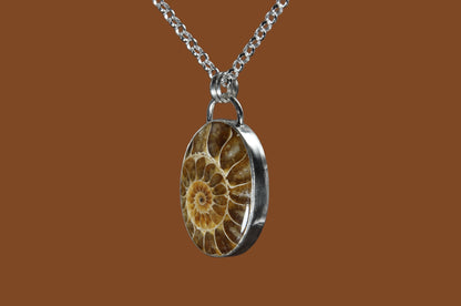 Ammonite Pendant Necklace