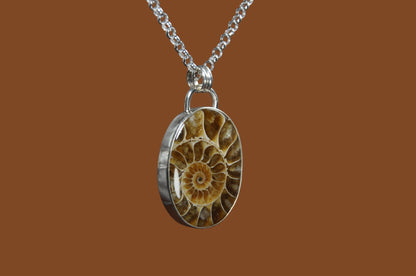 Ammonite Pendant Necklace