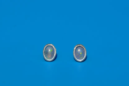 Blue Welo Opal Oval Stud Earrings