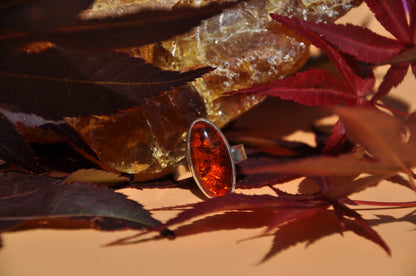 Amber Ring