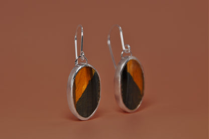 Tiger Eye Earrings